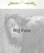 Big Foot