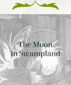 The Moon in Swampland