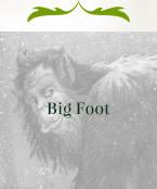 Big Foot